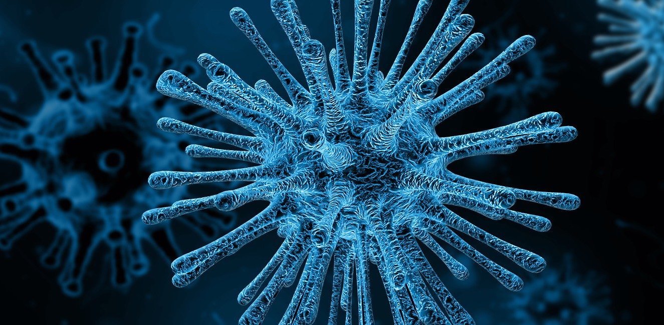 記事サムネイル画像